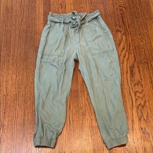 Abercrombie & Fitch 100% Lyocell Green Paperbag Jogger Women's Small Short
